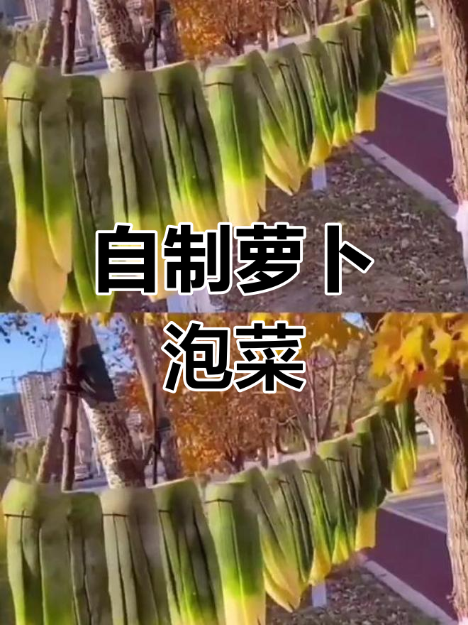 轻松自制美味萝卜泡菜