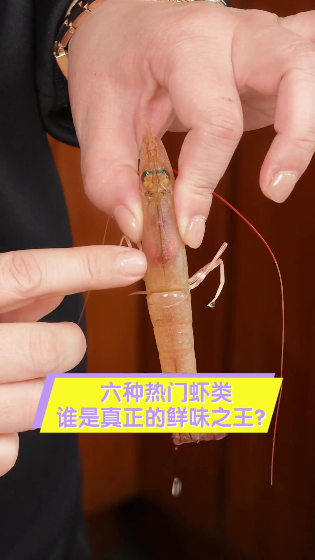 六种热门虾类,谁是真正的鲜味之王?