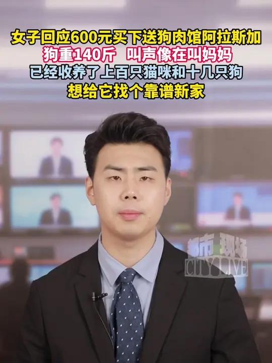 女子回应600元买下送狗肉馆阿拉斯加。狗重140斤。叫声像在叫妈妈。已经收养了上百只猫咪和