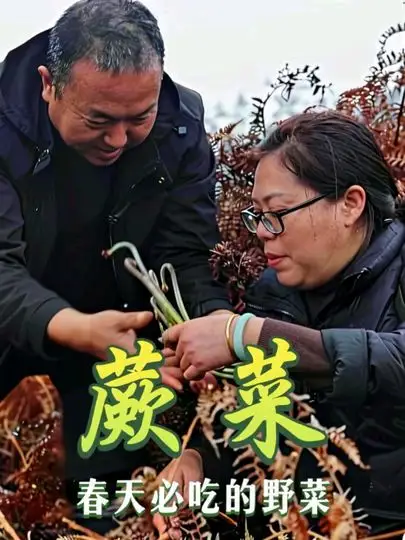 农村人春天必吃的野菜,你吃过吗?