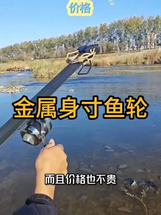 全自动户外金属身寸鱼轮射鱼渔轮适用于水库河流方便出线耐用工具#全自动户外渔轮 #金属渔轮 