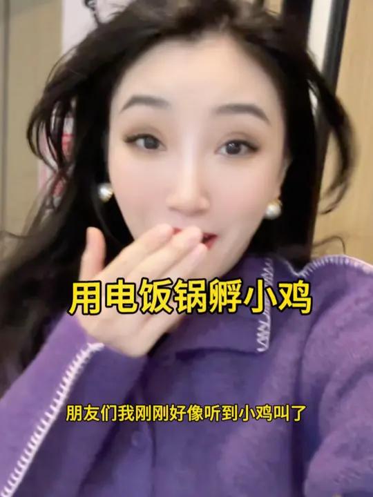 用电饭锅孵小鸡～天啊!我好像听到小鸡叫了!孵蛋 孵小鸡 人工孵化 小鸡 vlog日常