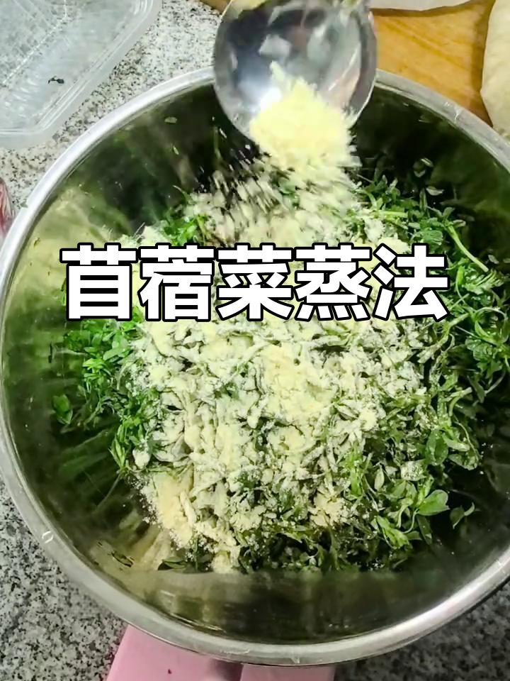 春天的味道,苜蓿菜麦饭做法大揭秘