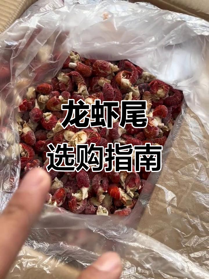 龙虾尾工厂揭秘:如何挑选新鲜货与冷冻虾