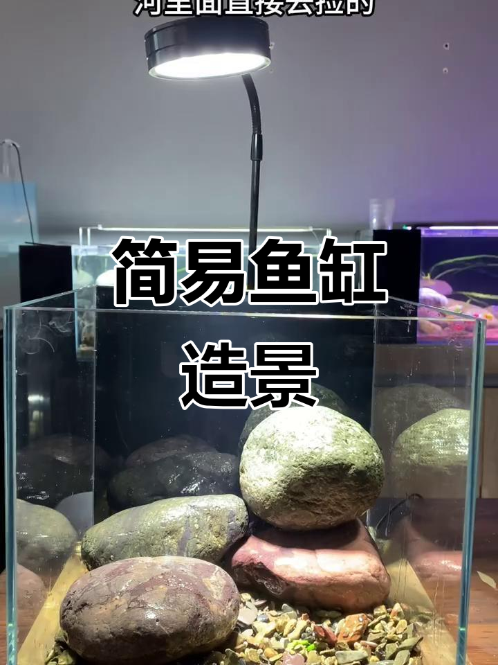 鱼缸造景超简单,溪沙、黄沙与鹅卵石轻松搞定!