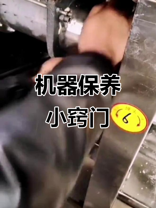 定期清理，保持馒头机性能；齿轮油每半年更换一次
