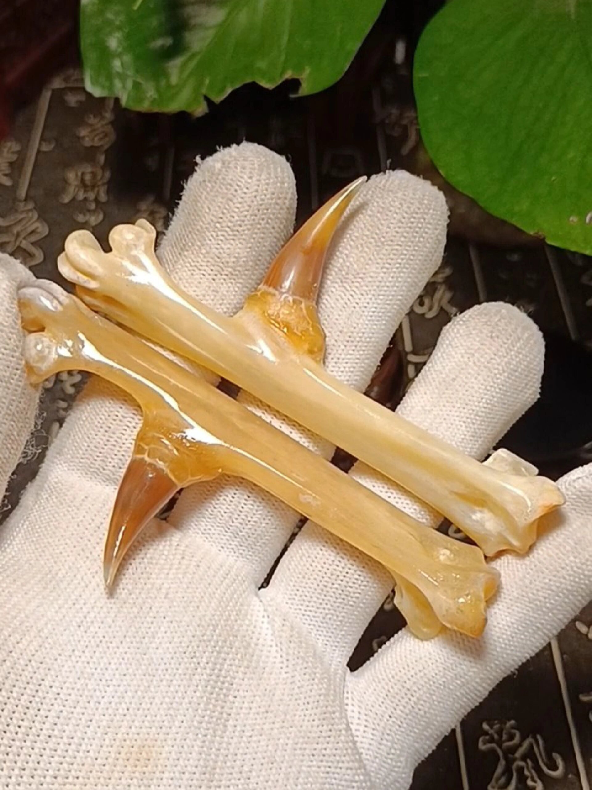 文玩鸡爪骨怎么盘玩保养?