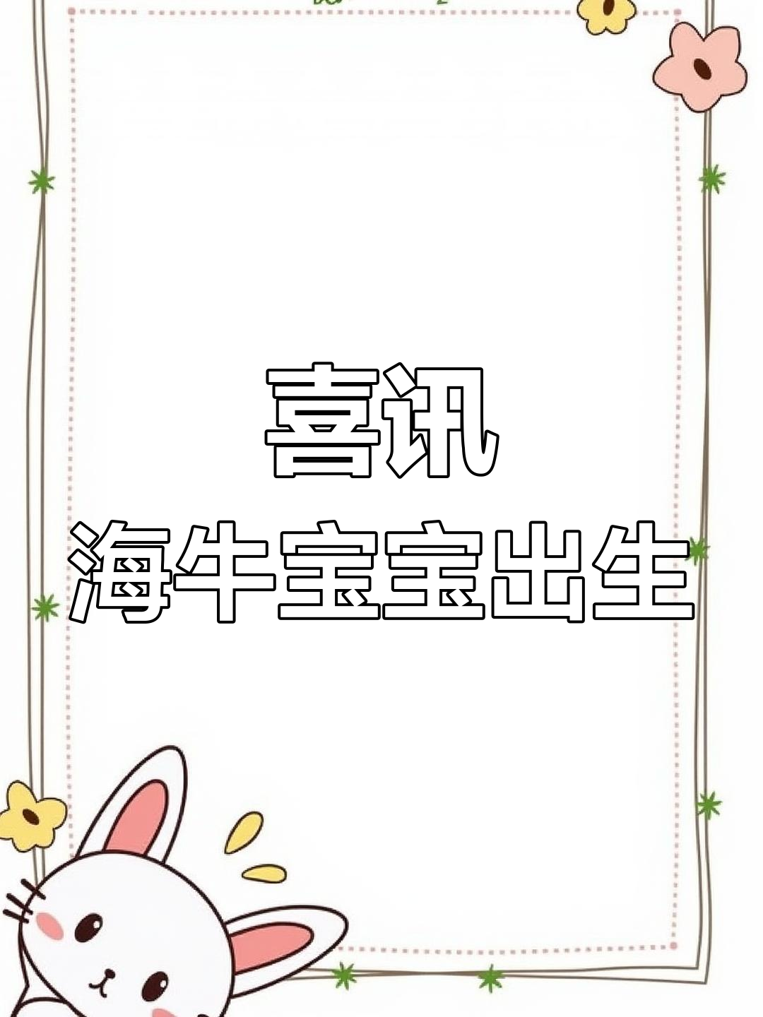 海牛家族新成员,海绵宝宝诞生!三个孩子的妈妈来了
