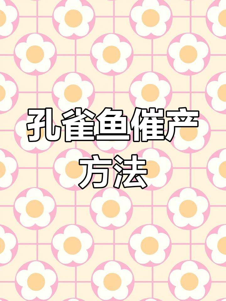 孔雀鱼催产技巧:如何帮助母鱼顺利生产