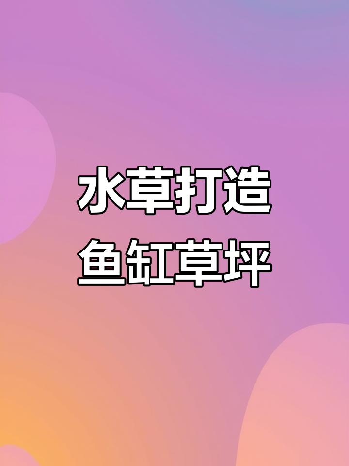 鱼缸造景新宠！这种水草让你轻松拥有绿草坪，无需复杂设备