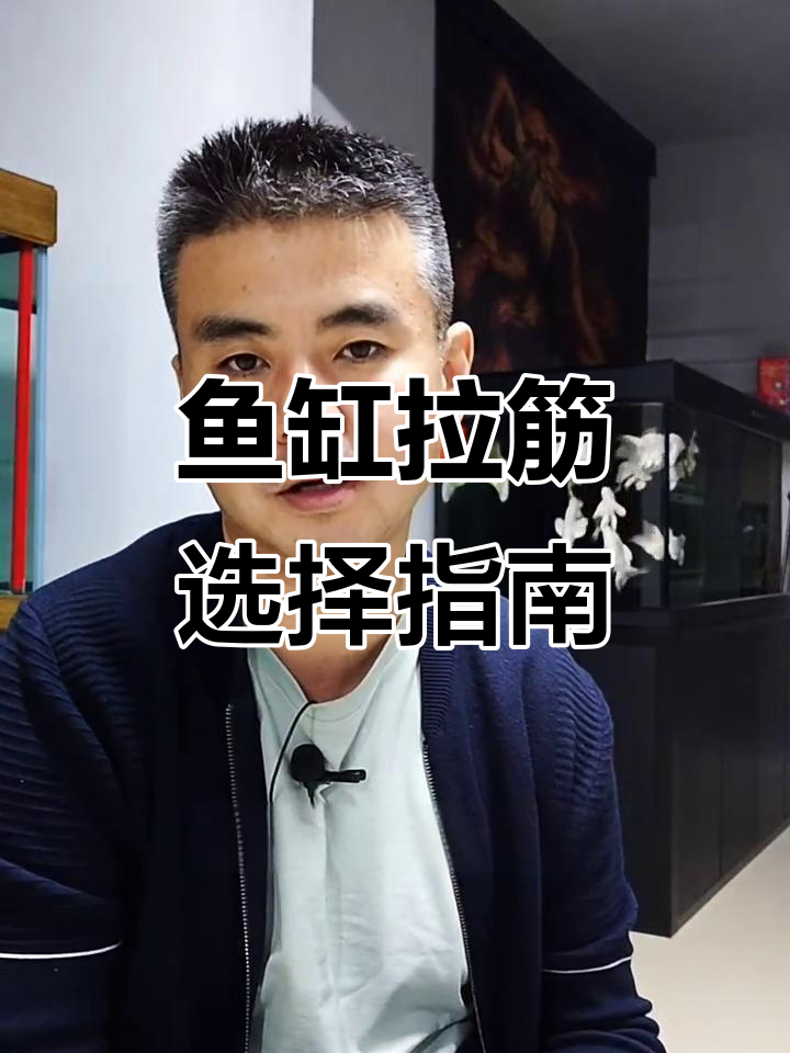 一体拉筋与切条拉筋,哪种更安全?鱼缸选购必看!