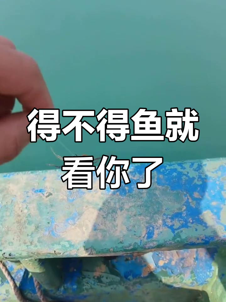 钓鱼大挑战,钓到大鱼就发朋友圈炫耀!