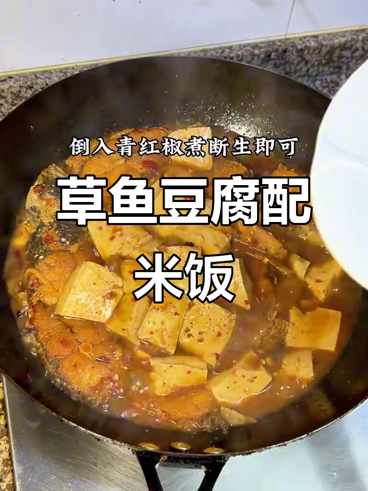 草鱼炖豆腐,米饭必备!家常美味等你尝