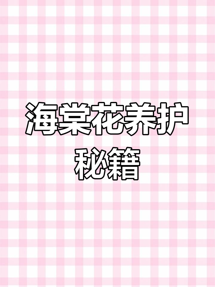 海棠花养护全攻略:土、水肥及常见问题解决技巧
