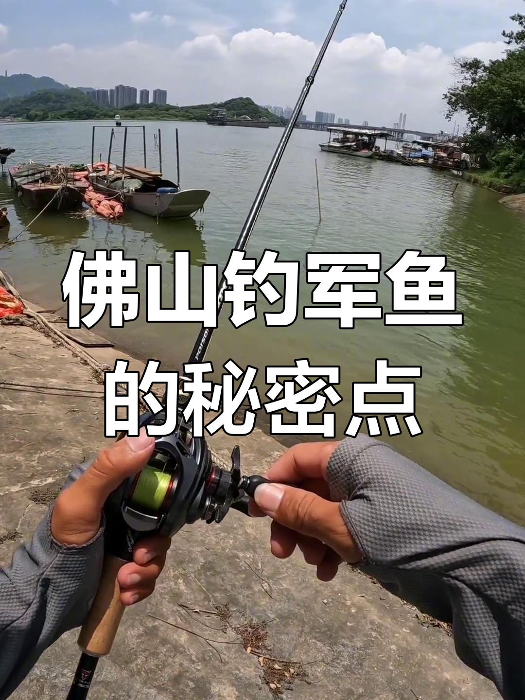 佛山唯一有军鱼的地方,钓鱼爱好者必试
