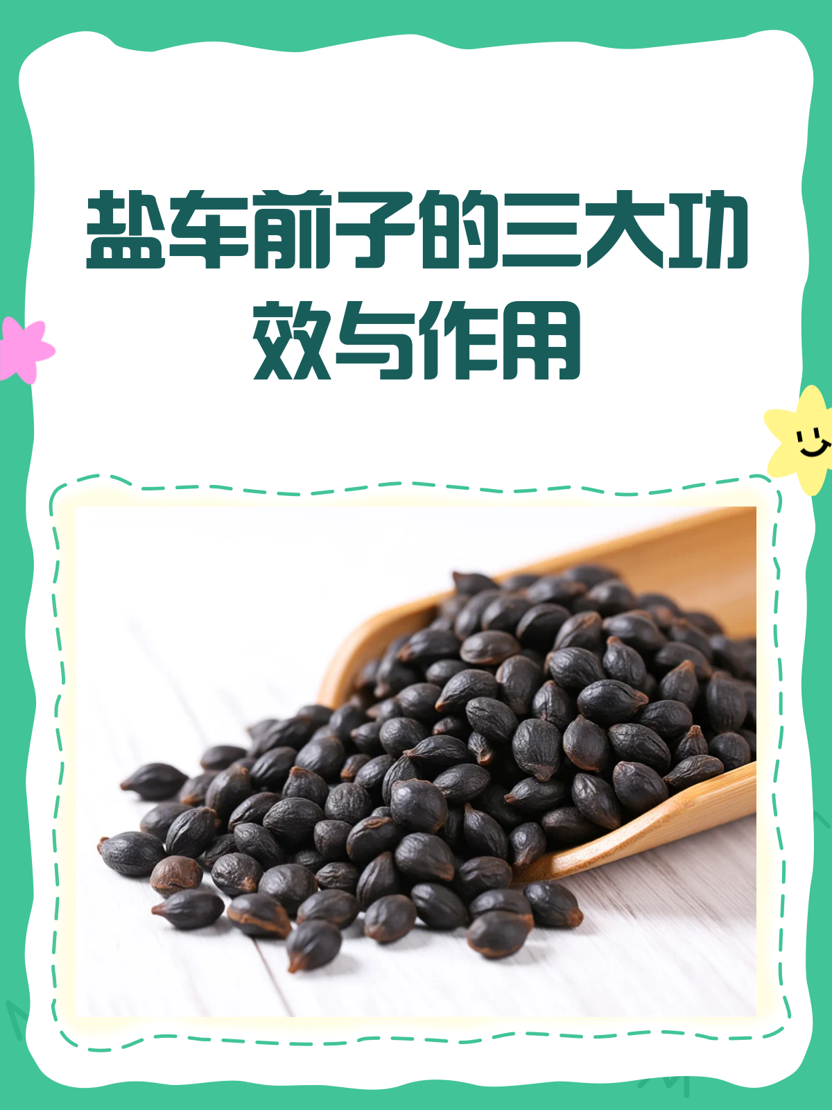 盐车前子:清热利尿又明目,但这些人慎用!