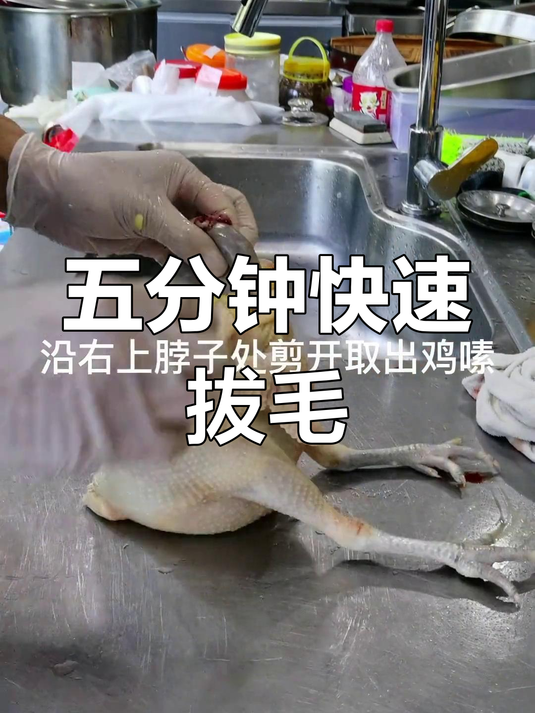 轻松去毛,五分钟搞定杀鸡技巧