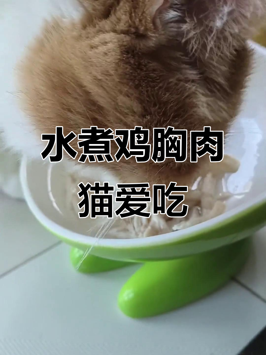 清水煮鸡胸,猫咪们吃得超开心