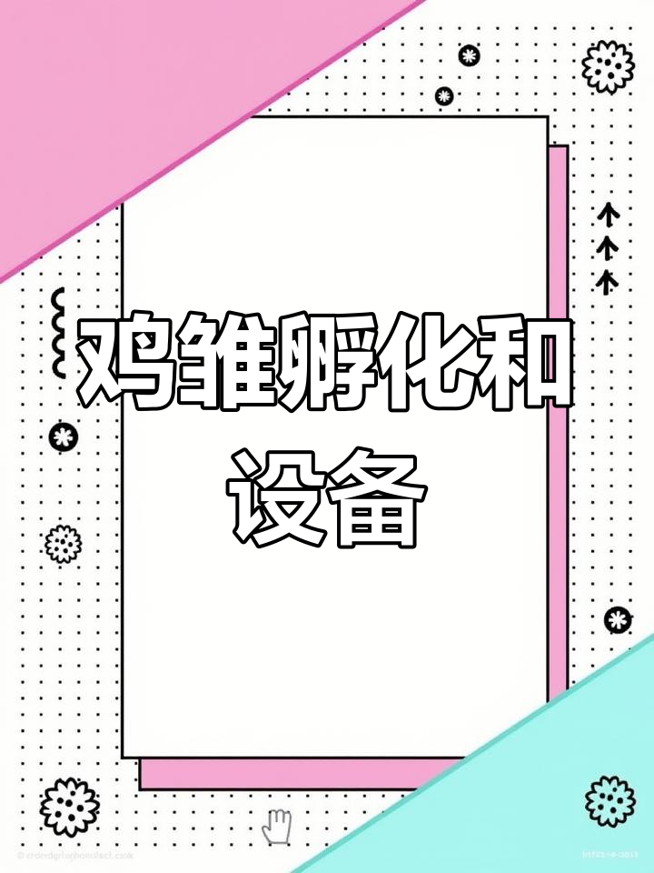 鸡雏孵化全过程,养殖设备大揭秘