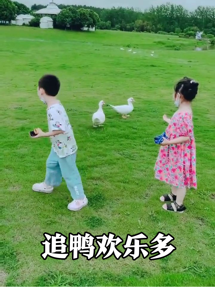 萌娃追鸭现场:鸭子被追得满场跑,小朋友笑得停不下来