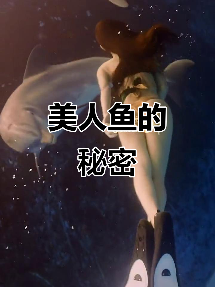 人鱼公主的美丽传说与神秘冒险