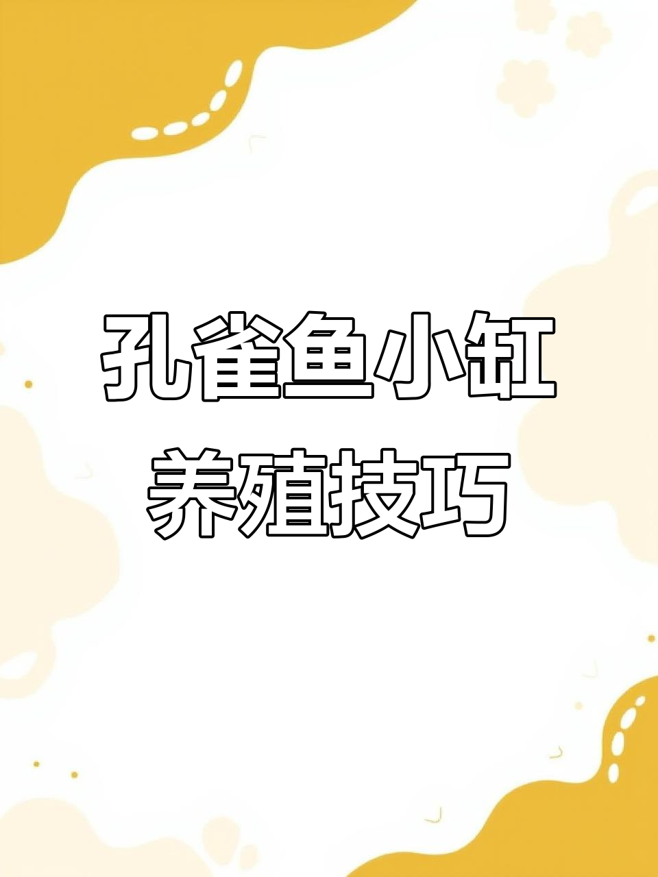 小缸开孔雀鱼,简单又实惠的养鱼方案