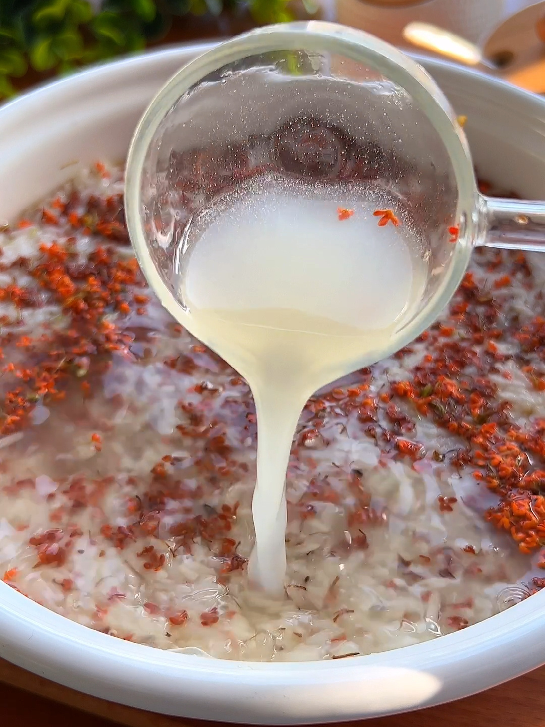 家里桂花开了做个桂花甜酒酿!