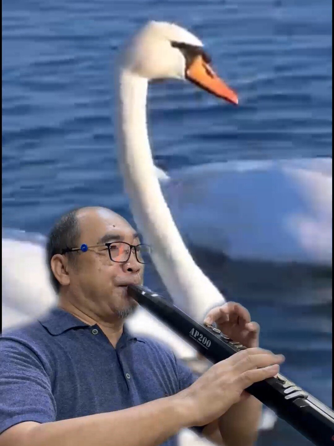 电吹管双簧管乐-世界名曲《天鹅湖》