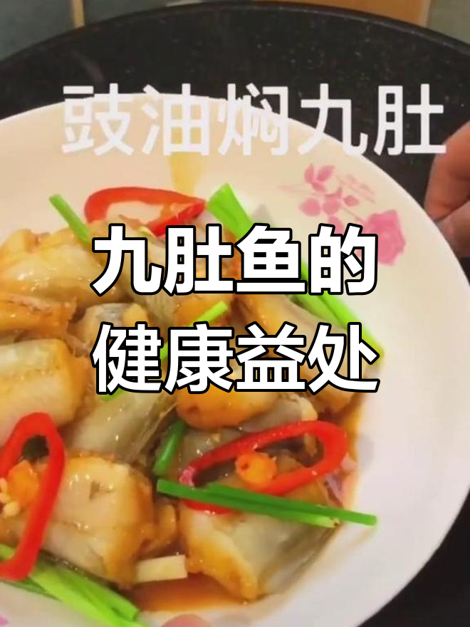九肚鱼的营养价值与功效