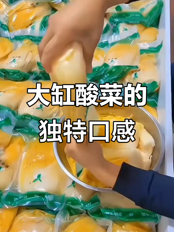 东北大缸酸菜,整颗心脆嫩无渣,品质一目了然