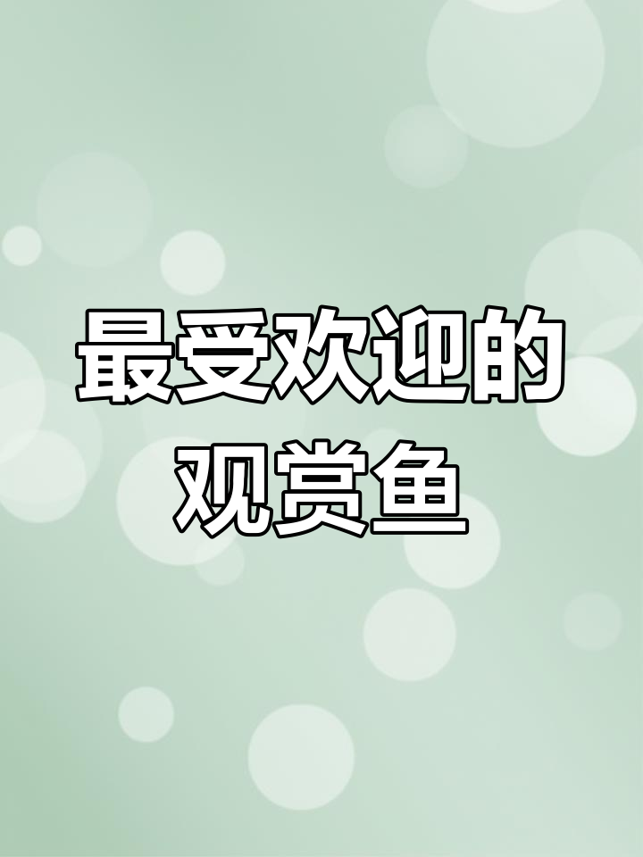 十大最耐养的热带鱼,皮实又美丽