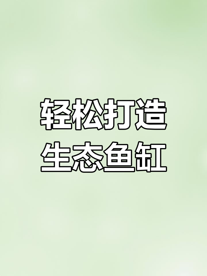 生态鱼缸造景,浮萍净化水质,懒人养法全攻略