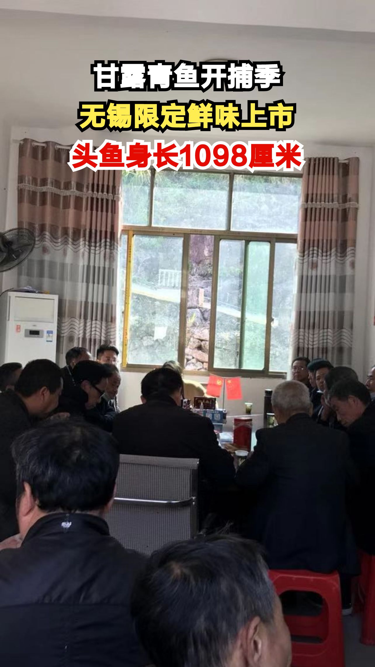 33斤头鱼震撼出水!无锡甘露青鱼开捕现场有多壮观?