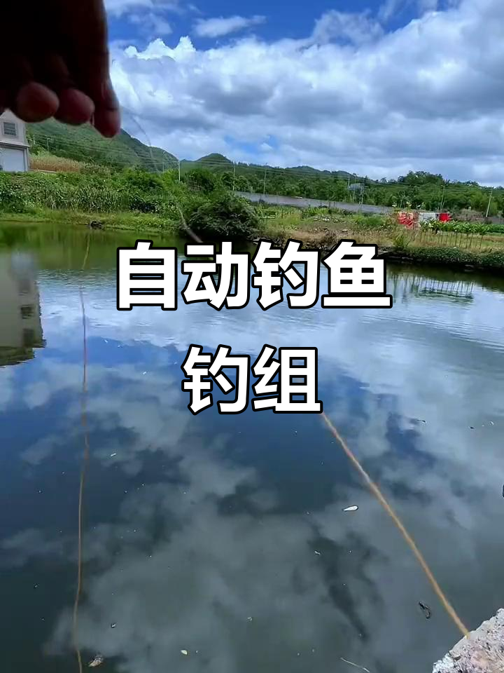 弹簧地插自动钓鱼钓组,轻松捕捉甲鱼鲤鱼