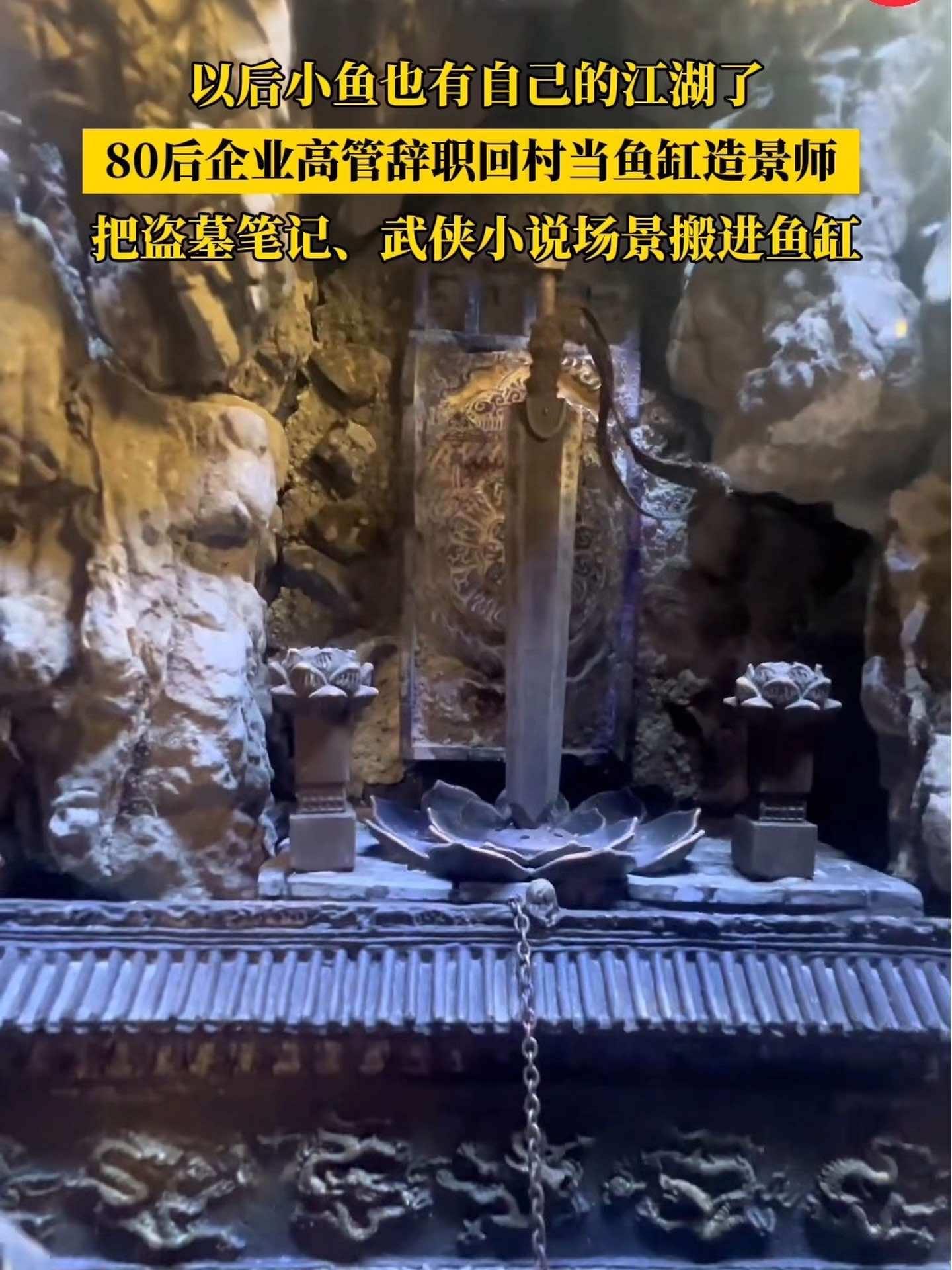 (原创采访)80后企业高管辞职回村把盗墓笔记搬进鱼缸,以后小鱼也有自己的江湖了(素材@UN