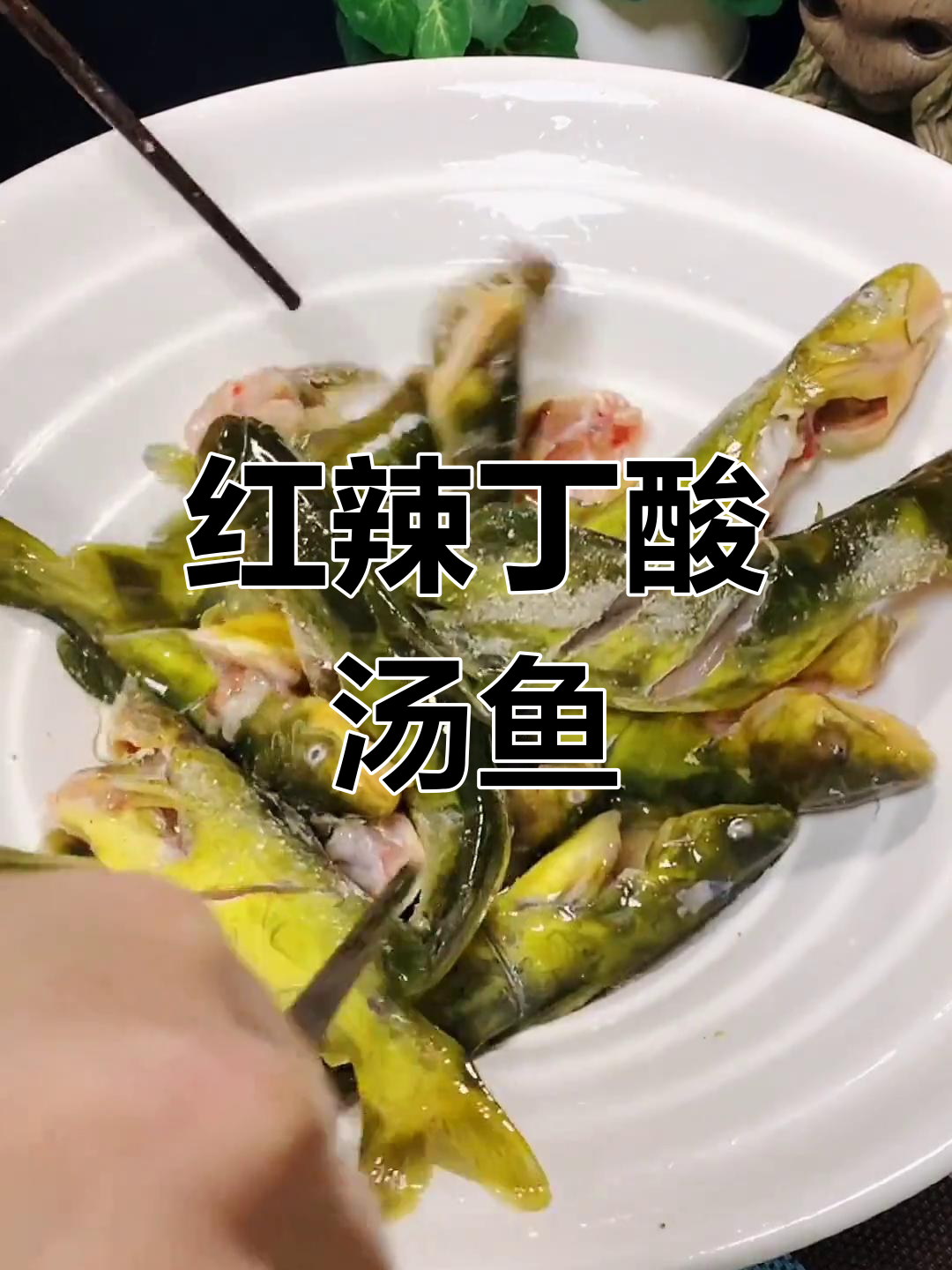 贵州特色酸汤鱼做法