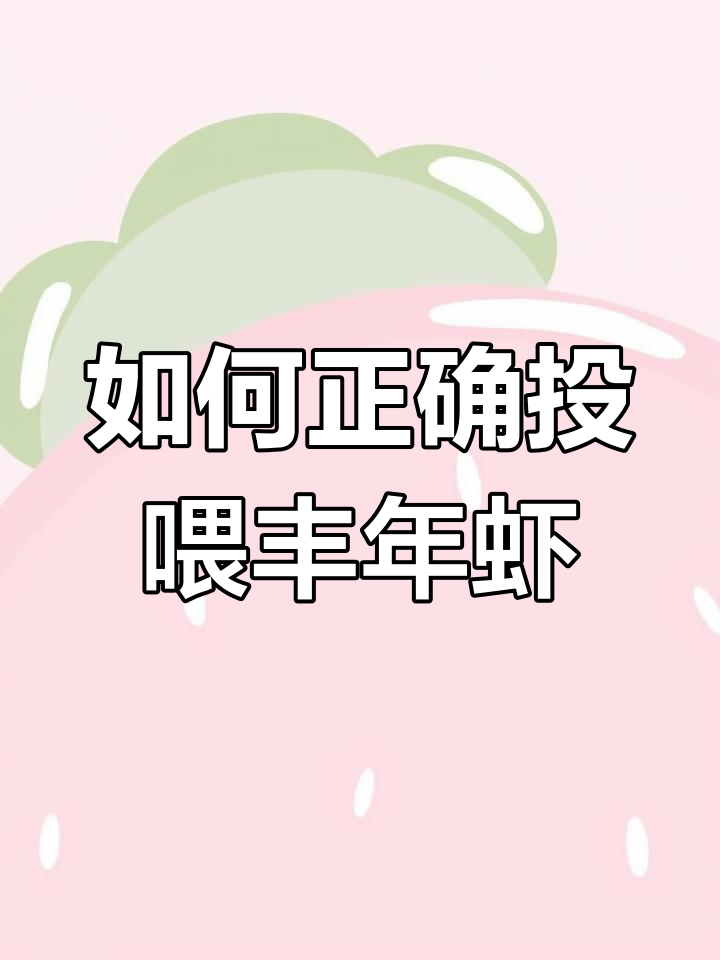 丰年虾成虫投喂技巧,避免浑水