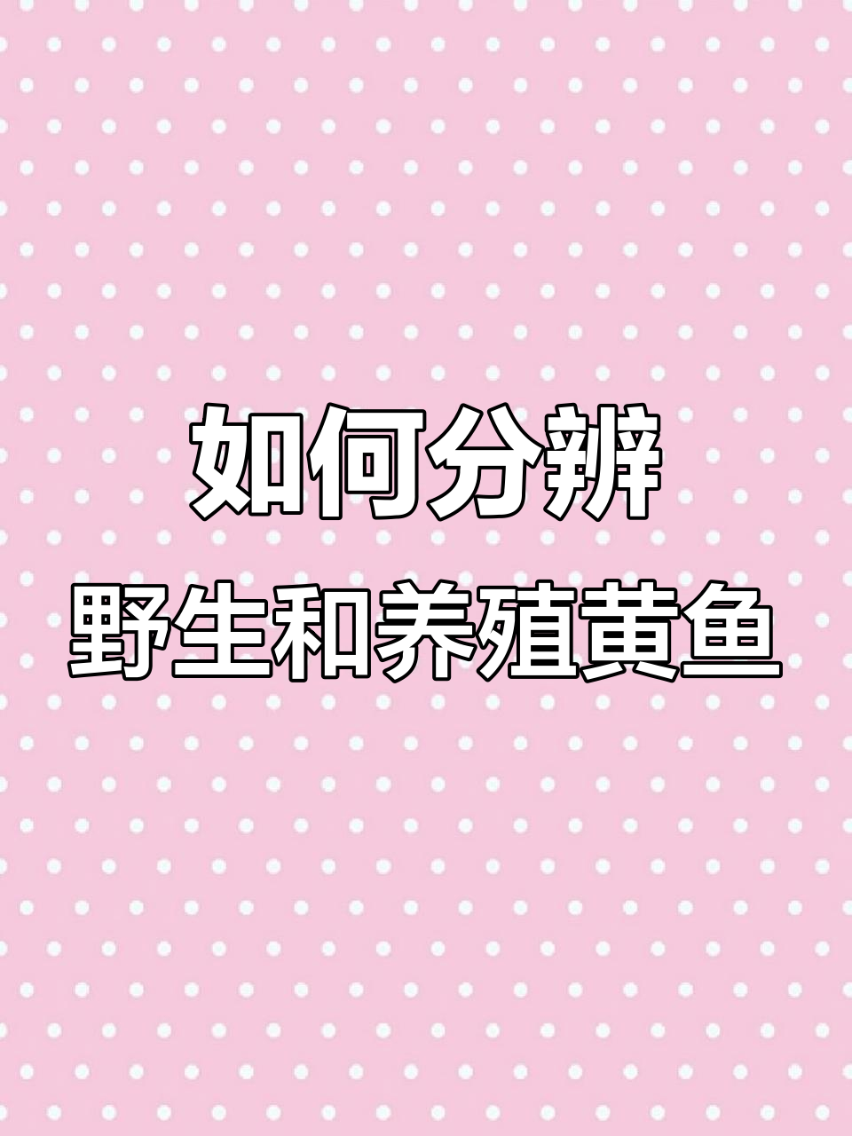 野生黄鱼与养殖黄鱼的辨别技巧，教你如何区分