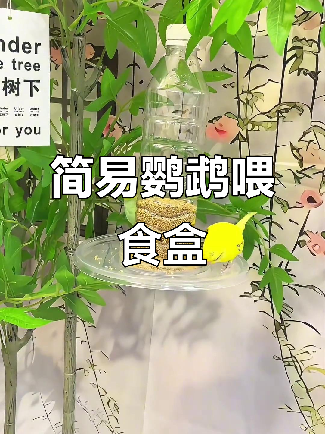 自制鹦鹉自动喂食器,简单又实用