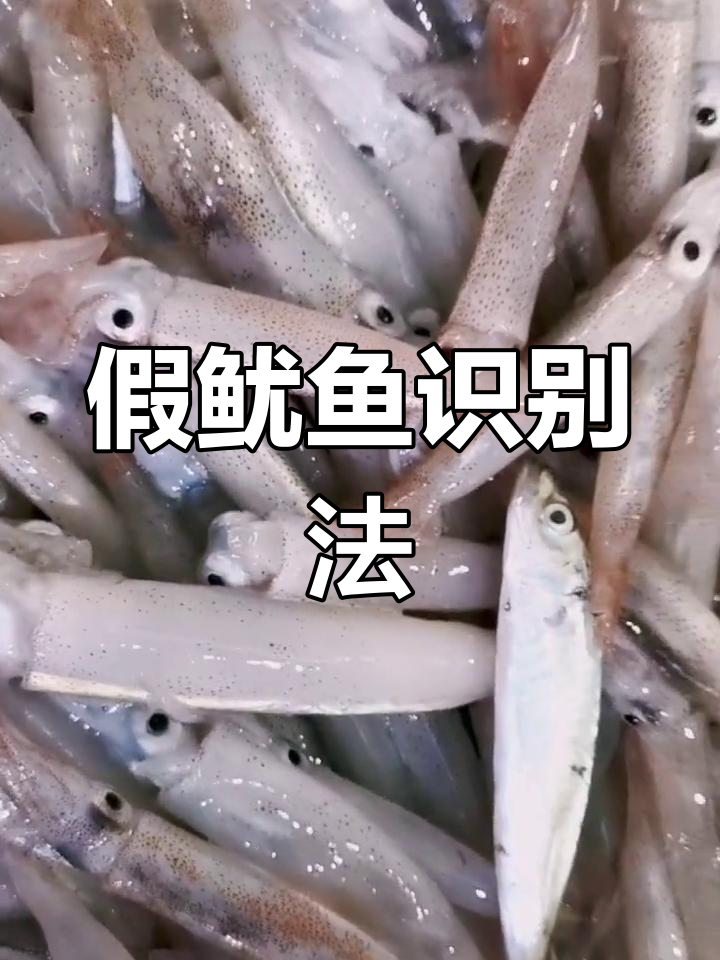 如何辨别真假鱿鱼