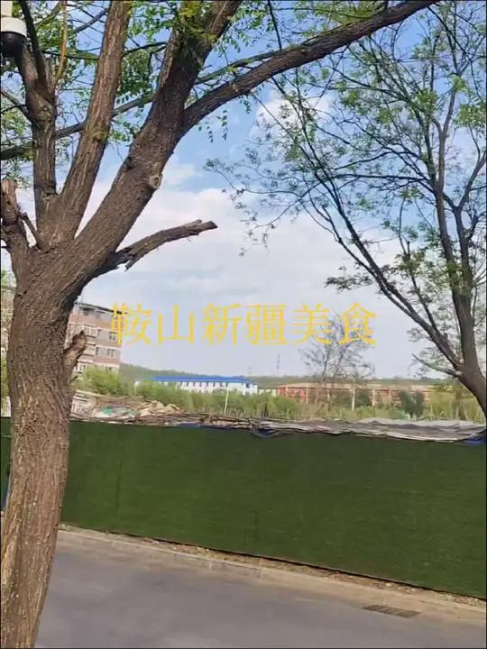 鞍山市新疆美食