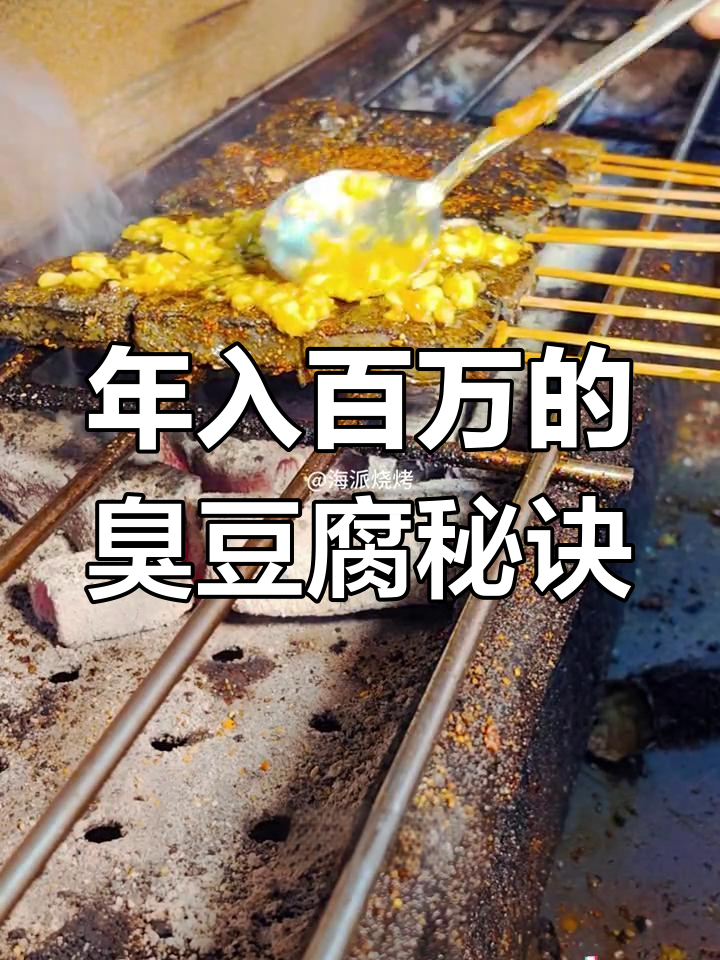 教你轻松烤制臭豆腐,年赚百万不是梦!