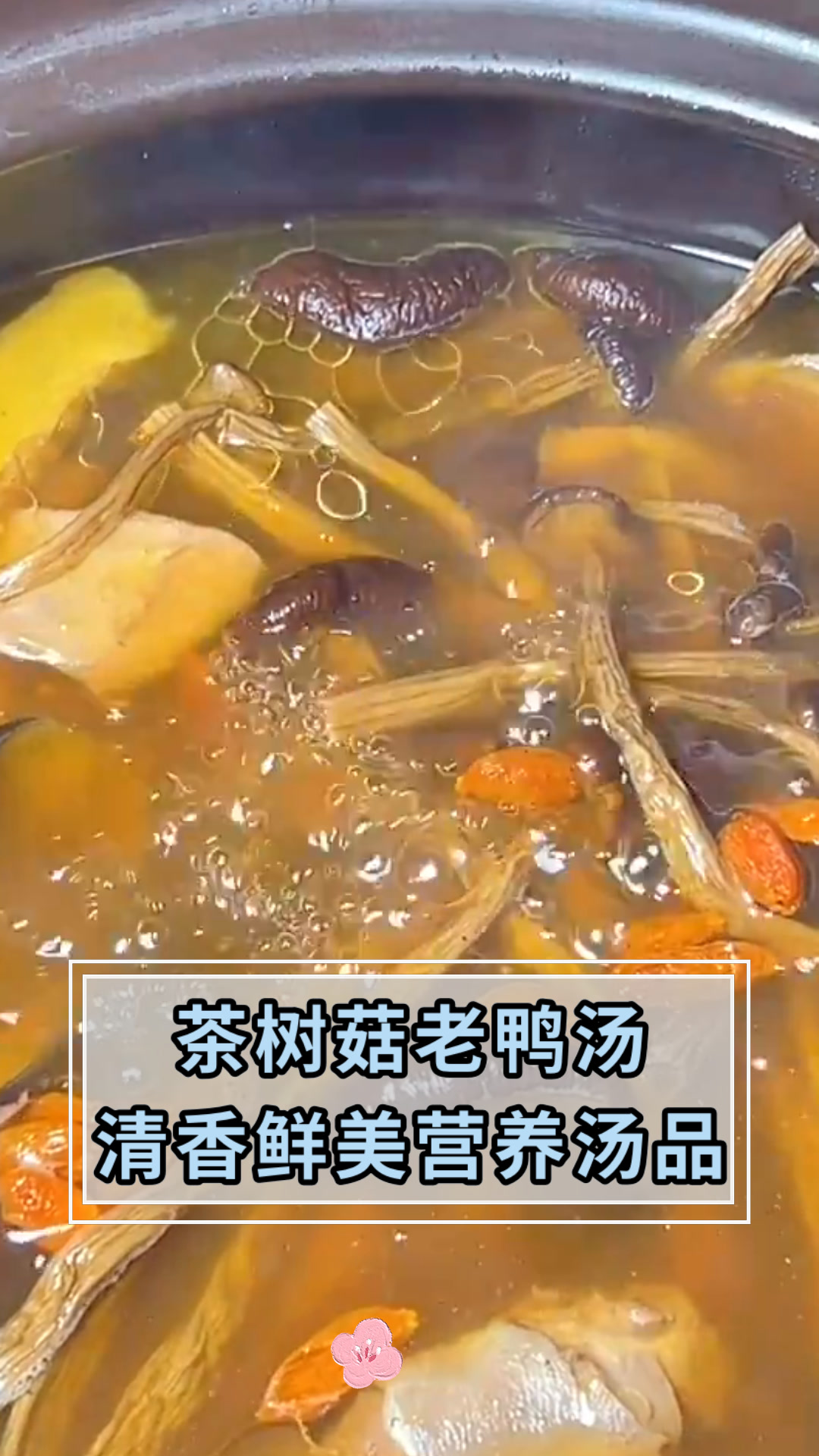 茶树菇老鸭汤清香鲜美营养汤品