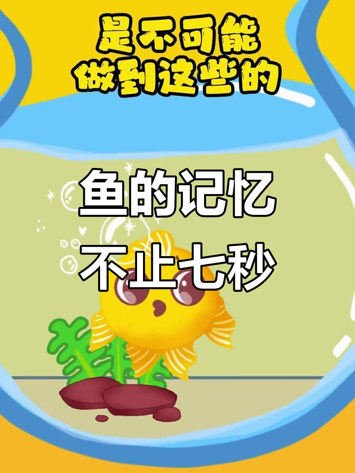 鱼真的只有七秒记忆？科学家揭秘鱼类记忆力惊人真相