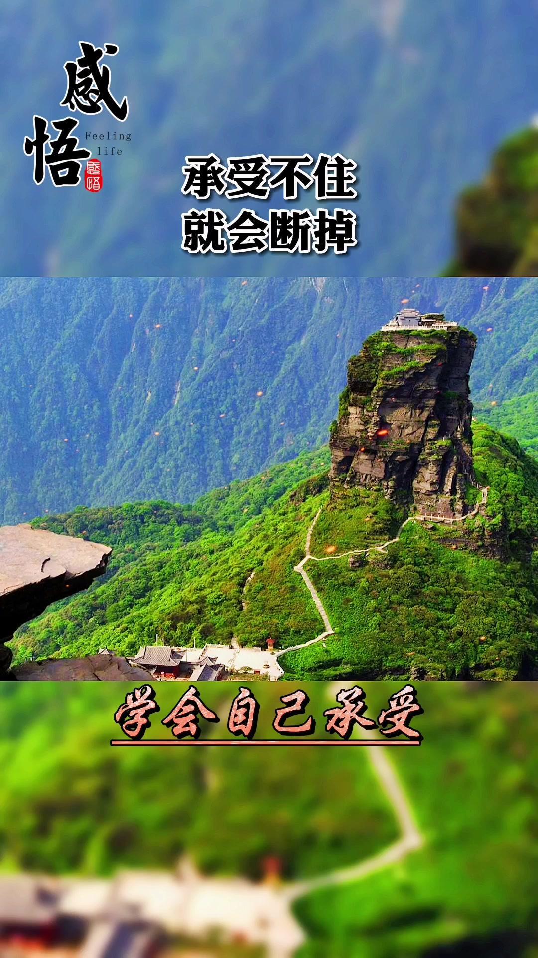 人生就像一支铅笔,开始很尖,经历多了就会圆滑,承受不住就会断掉,别去抱怨你经历的种种,学会