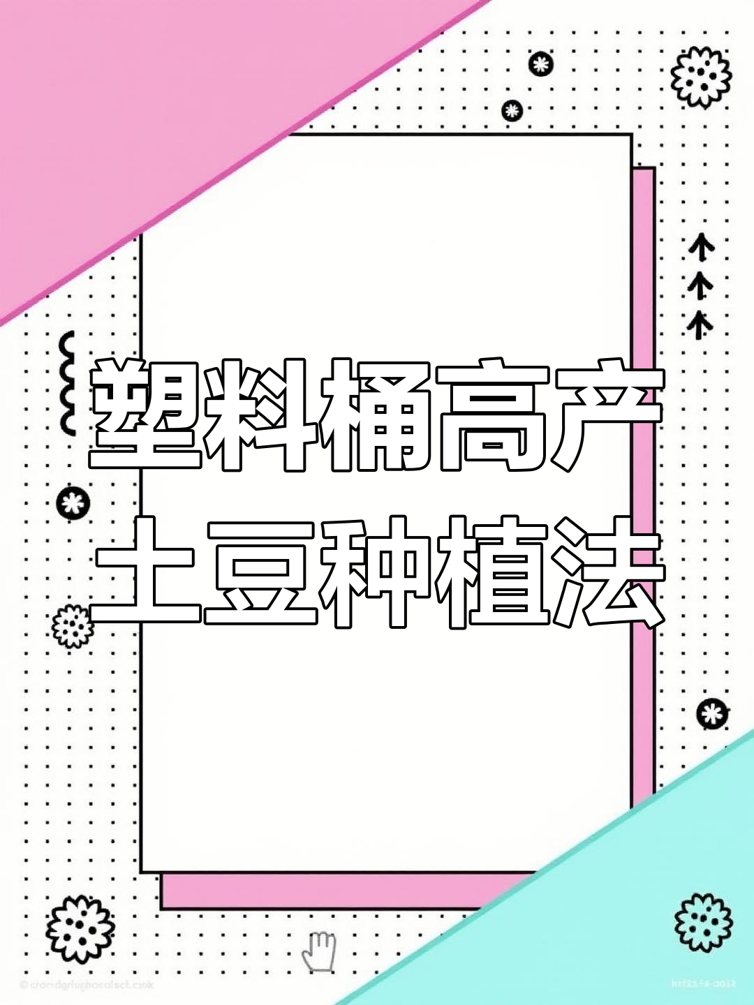 塑料桶种土豆,产量惊人!教你水培技巧