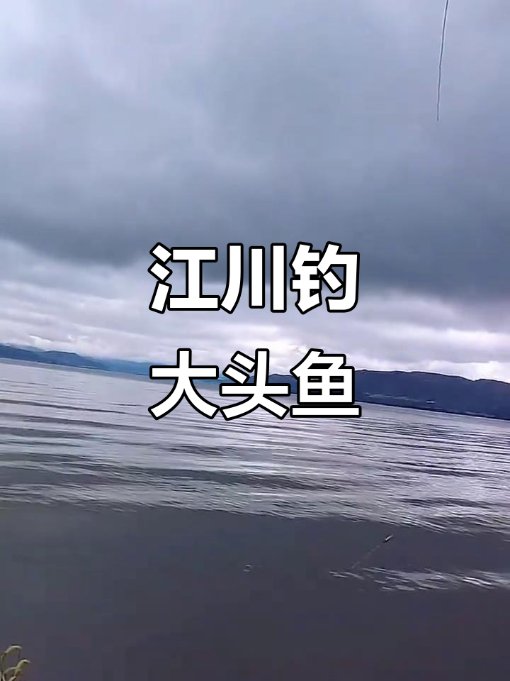 江川星云湖钓鱼之旅，大头鱼惊现！天气正好煮火锅