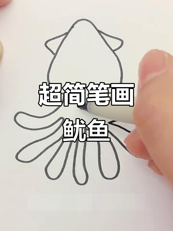 轻松学画可爱鱿鱼,步骤简单又有趣