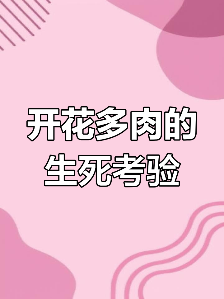 多肉开花后真的会死吗?这些品种最容易“急死”