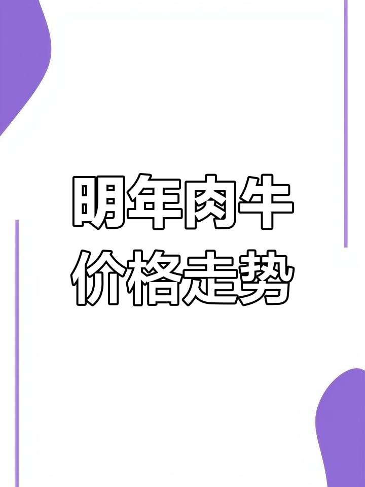 2023年肉牛市场预测:价格波动与进口变化分析